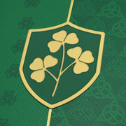 Ireland Custom Football Jersey
