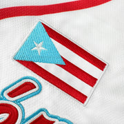Puerto Rico Azul Celeste Boriken Heritage Custom Baseball Jersey Closeup Flag Stitched