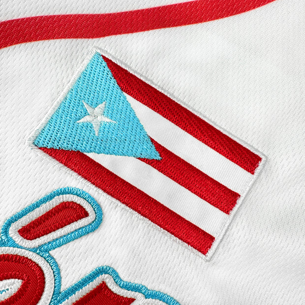 Puerto Rico Azul Celeste Boriken Heritage Custom Baseball Jersey Closeup Flag Stitched